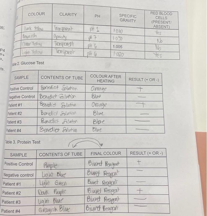 Solved Hello i need help with question 3 and 4 please and | Chegg.com
