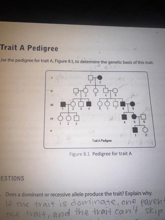 Solved Use the pedigree for trait A, Figure 8.1, to | Chegg.com