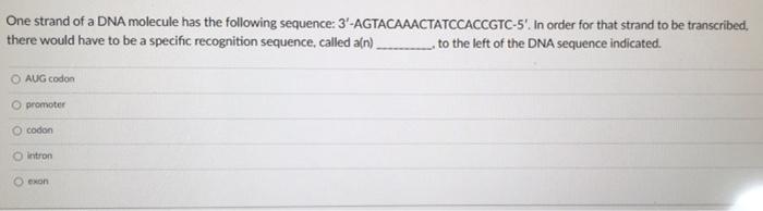 One strand of a DNA molecule has the following sequence: 3-AGTACAAACTATCCACCGTC-5. In order for that strand to be transcrib