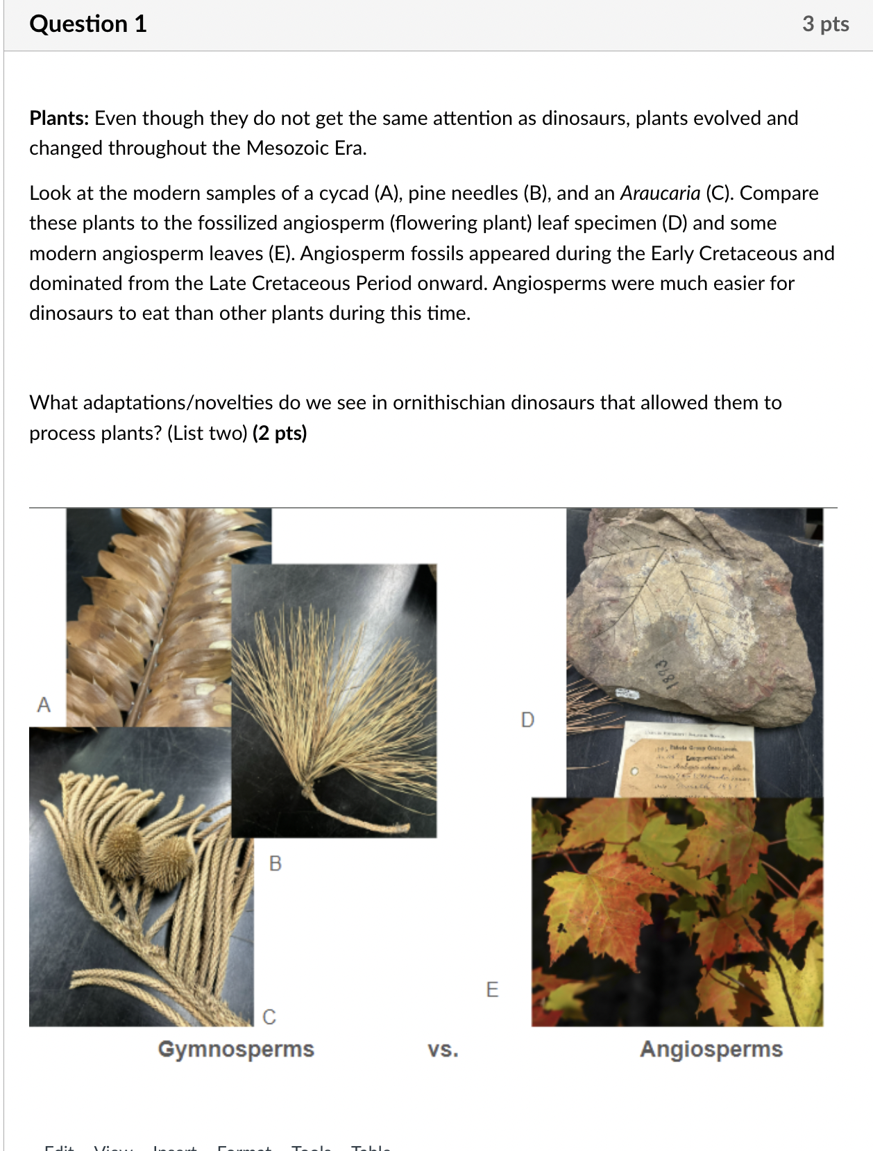 Solved Question 1Plants: Even though they do not get the | Chegg.com