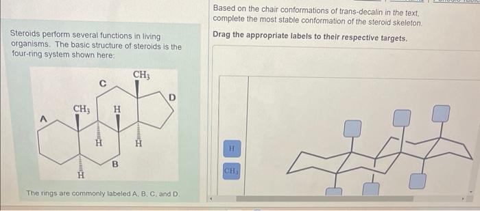 Solved Based on the chair conformations of trans-decalin in | Chegg.com