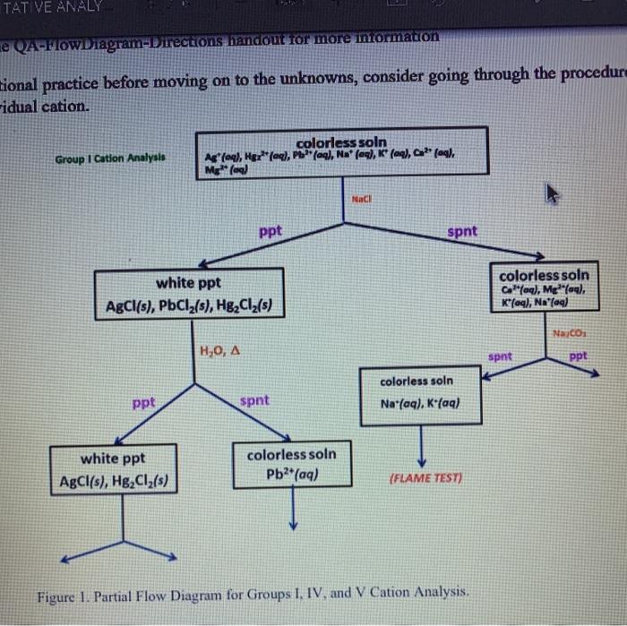 Solved TAT VE ANALY e QA-FIOWDiagram-Directions handout for | Chegg.com