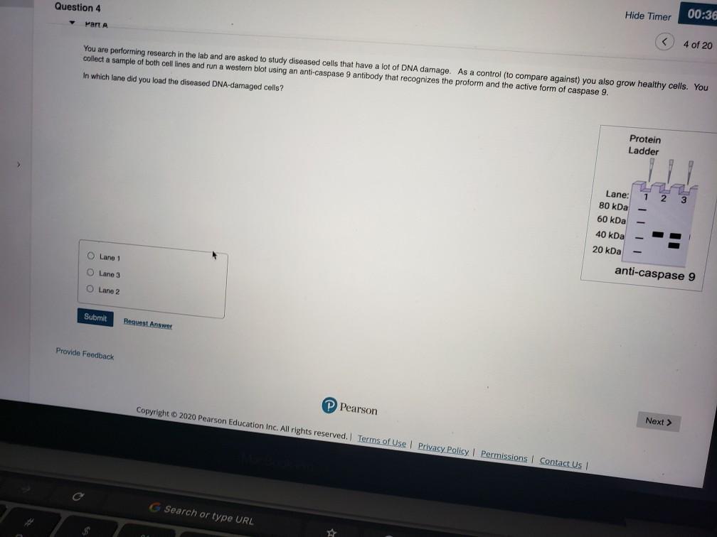 Solved I need answer | Chegg.com