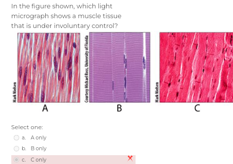 Solved Question 3 Not answered Marked out of 10 P Flag | Chegg.com