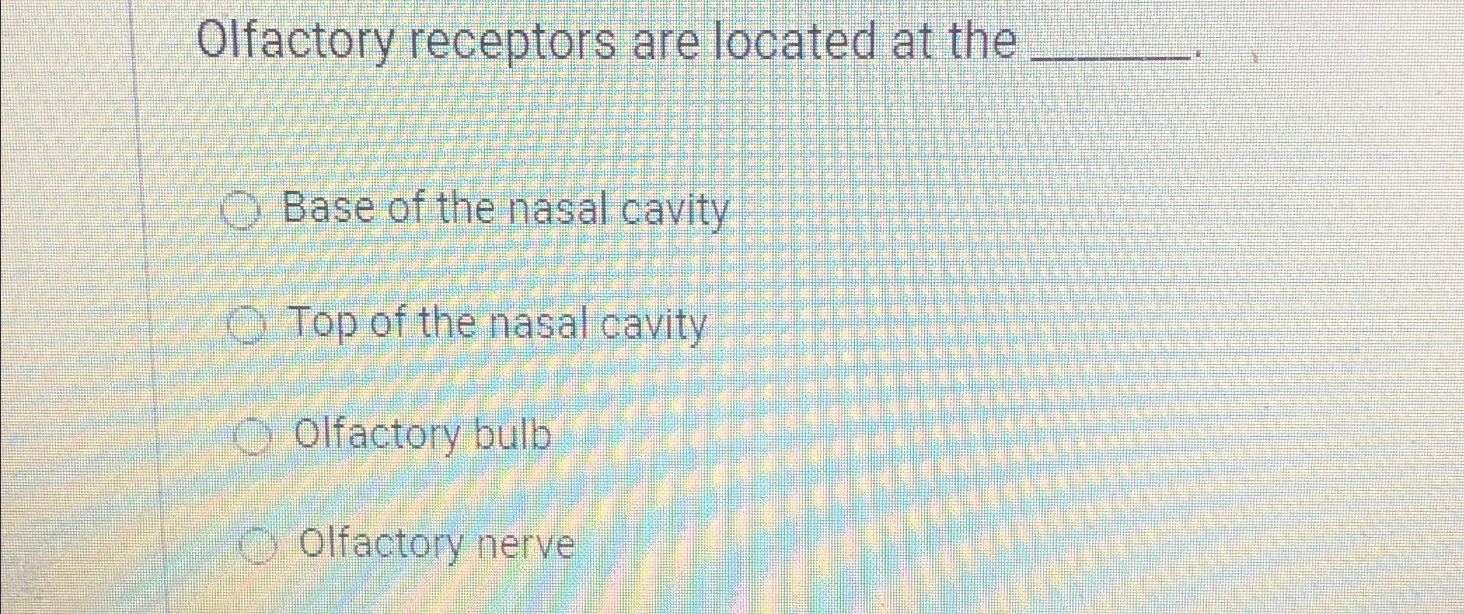 Solved Olfactory receptors are located at theBase of the | Chegg.com