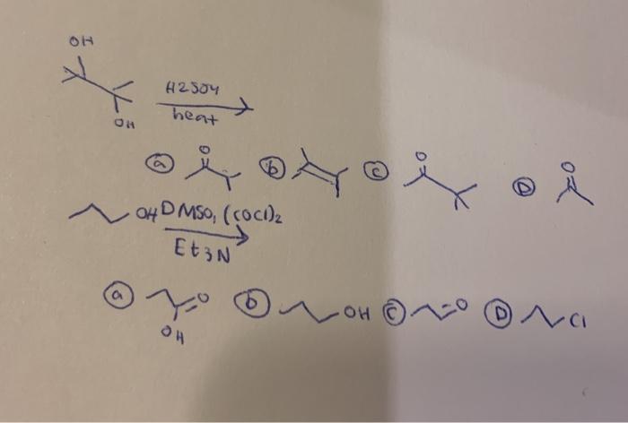 Solved Oh X H2504 Heat On C Bro E O 웃 Ohdmso Cocida Chegg Com