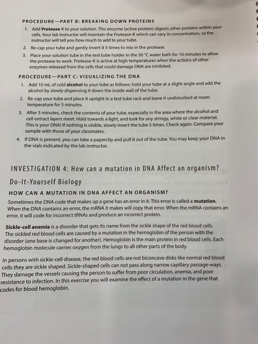 Solved Use the lab manual to answer the following questions | Chegg.com