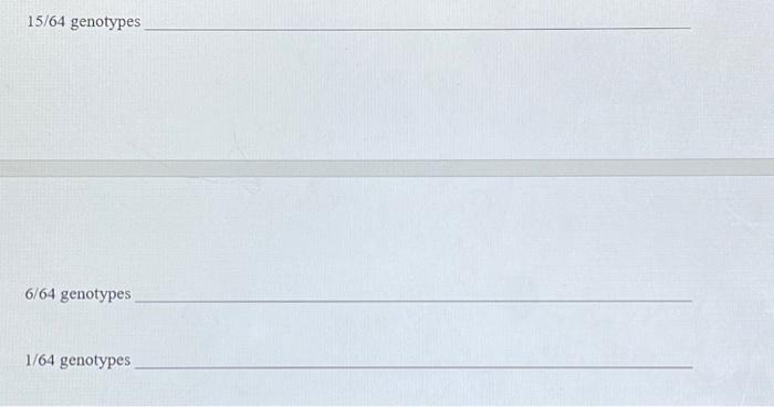 Solved 6. The Punnett Square Below Shows A Simplified Model | Chegg.com