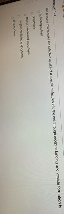 Solved Question 22 The Process That Involves The Selective Chegg Com