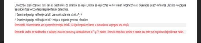 En los conejos existen dos itens puras para las caracteristcas del tamafio de las orejas. En donde las orejas costas son rece