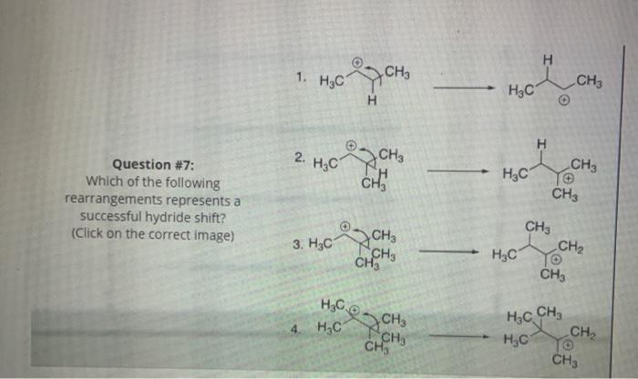 Solved Question #8: Explain why you chose this answer in | Chegg.com