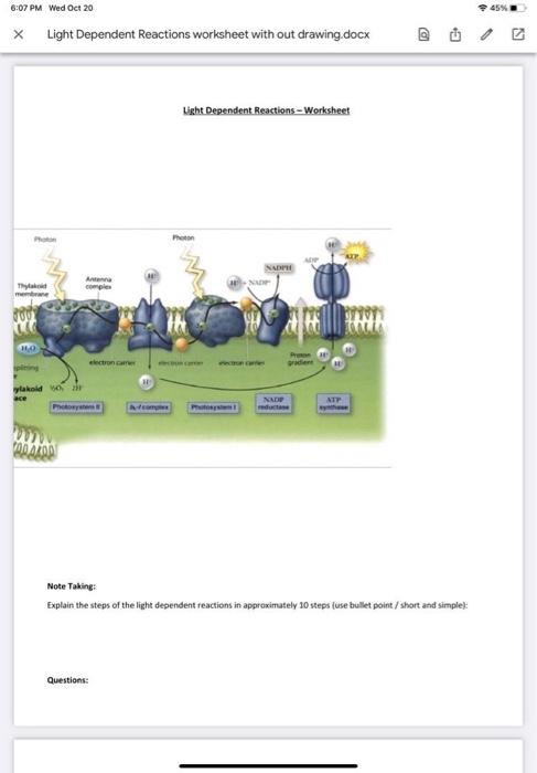 Solved 6:07 PM Wed Oct 20 65% X Light Dependent Reactions | Chegg.com