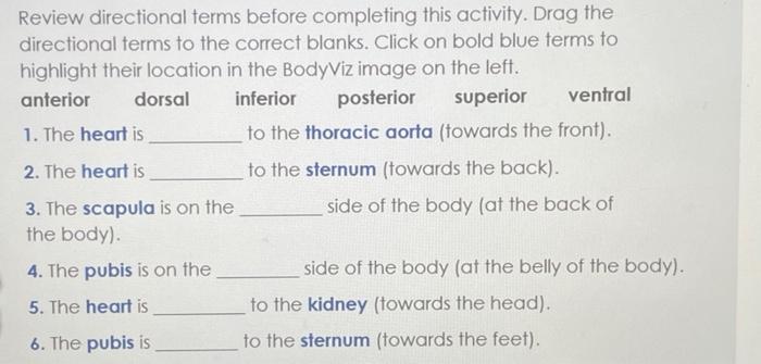 Review directional terms before completing this activity. Drag the directional terms to the correct blanks. Click on bold blu