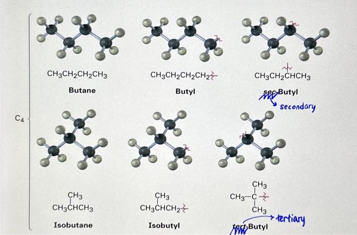 Solved This is from Organic Chemistry.Q. I can't understand | Chegg.com