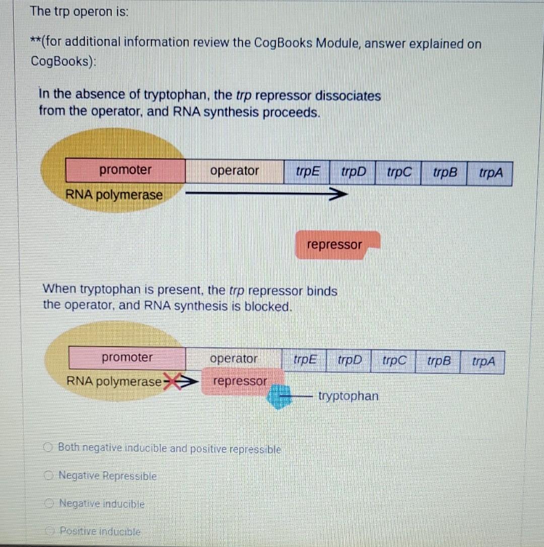 The trp operon is **(for additional information