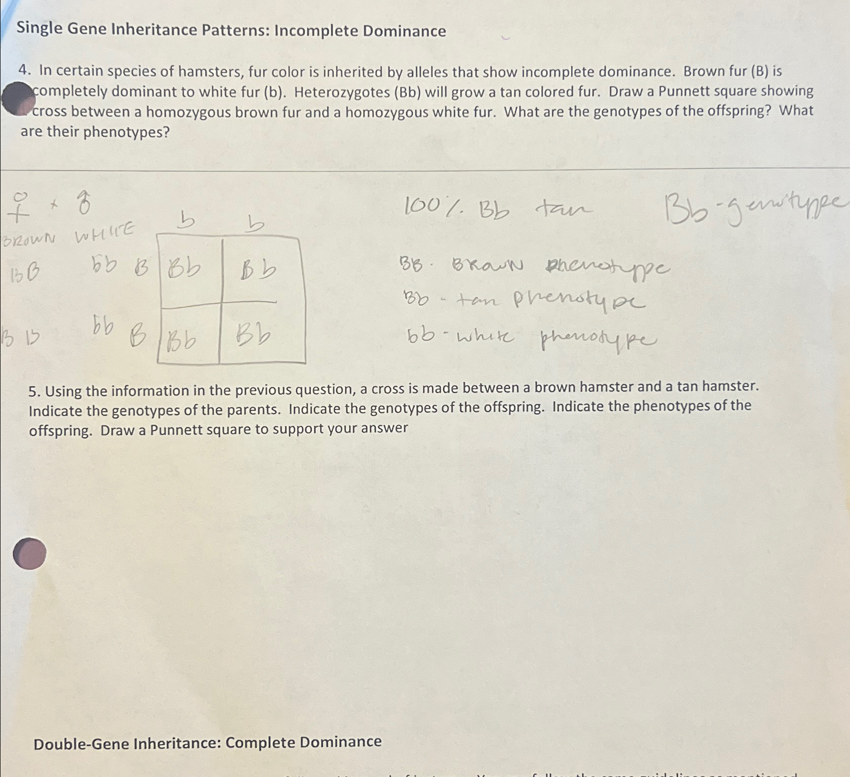 Solved Single Gene Inheritance Patterns: Incomplete | Chegg.com