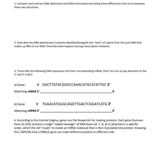 Solved 1. Compare and contrast DNA replication and DNA | Chegg.com