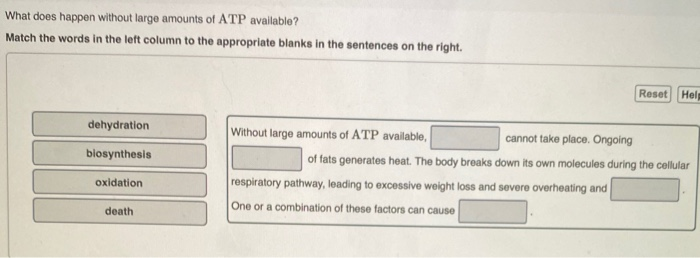 solved-what-does-happen-without-large-amounts-of-atp-chegg