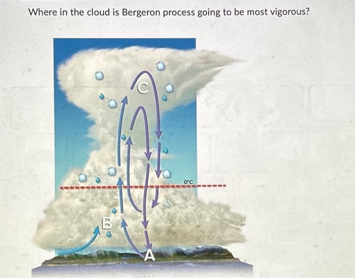 Solved Where in the cloud is Bergeron process going to be