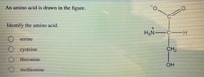 Solved An Amino Acid Is Drawn In The Figure Identify The Chegg Com