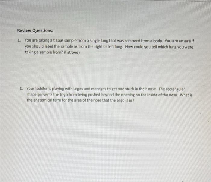 Solved Name: Lecture Activity 11 Below are a list of | Chegg.com
