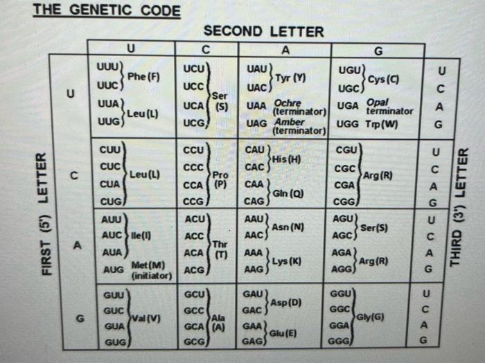 Step 1: The following table shows a partial DNA, | Chegg.com