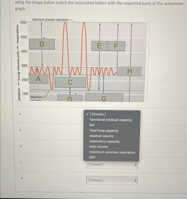 Solved using the image below match the associated letters | Chegg.com