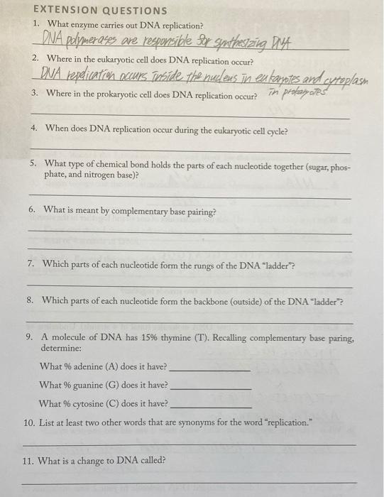 Solved EXTENSION QUESTIONS 1. What enzyme carries out DNA | Chegg.com