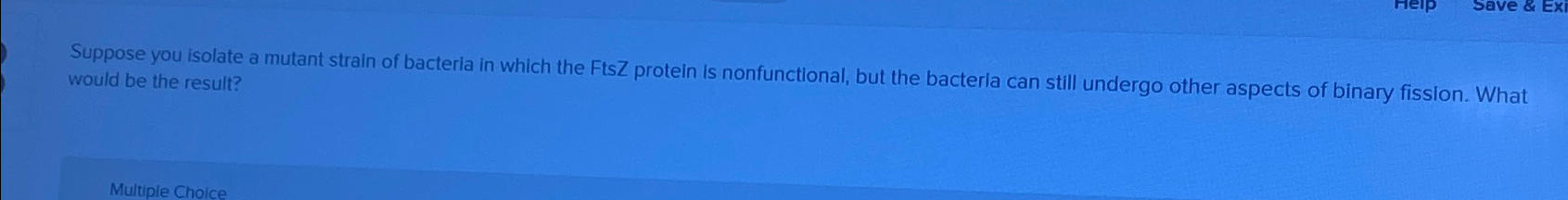 Solved Suppose you isolate a mutant strain of bacteria in | Chegg.com