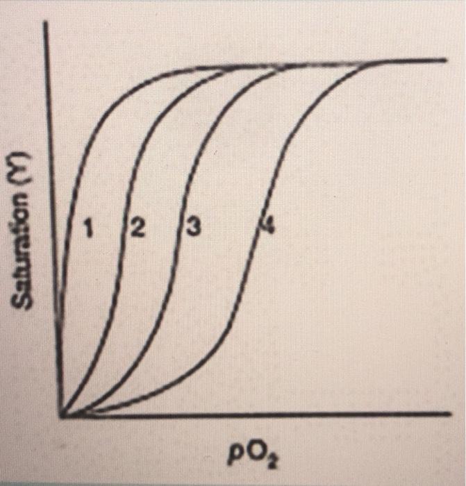 Solved The Graph Shows Several Oxygen Dissociation Curves Chegg Com
