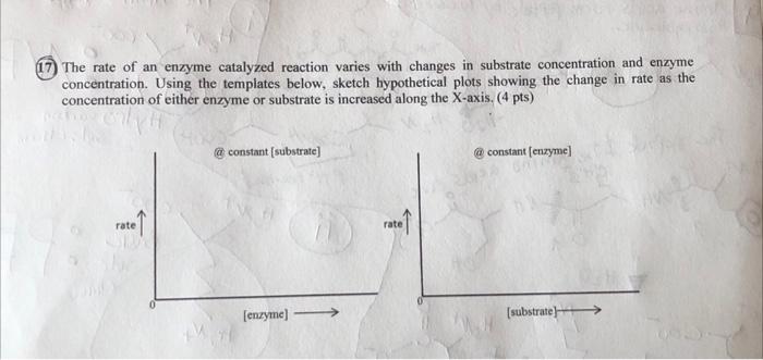 Solved The rate of an enzyme catalyzed reaction varies with | Chegg.com