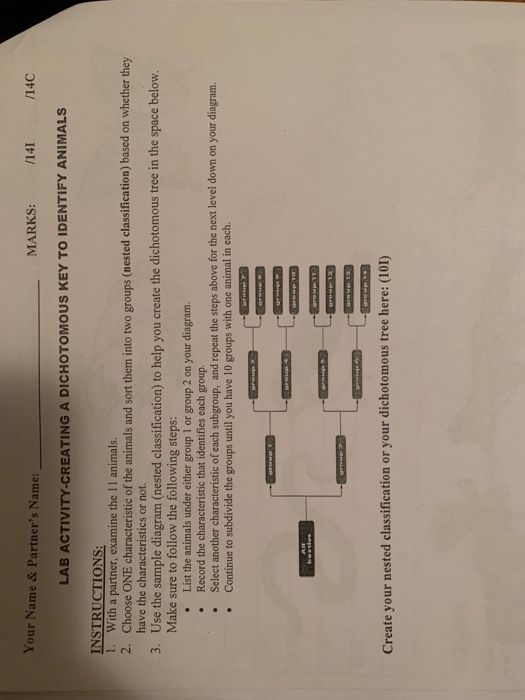 Make A Dichotomous Key Generator