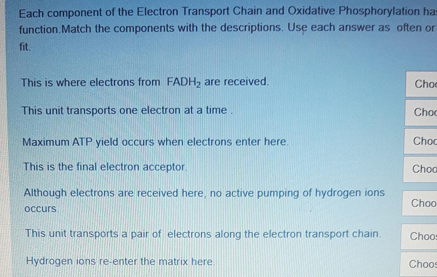 Solved Each component of the Electron Transport Chain and | Chegg.com
