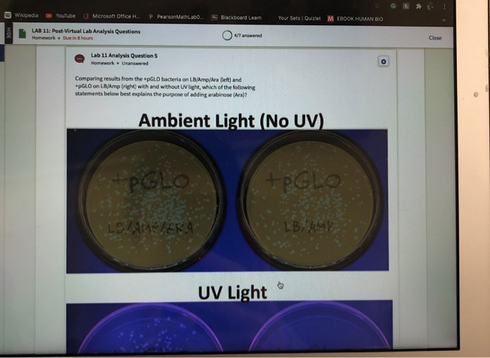 Solved Wikipedia Youtube Microsoft Office H P Pearson Chegg Com