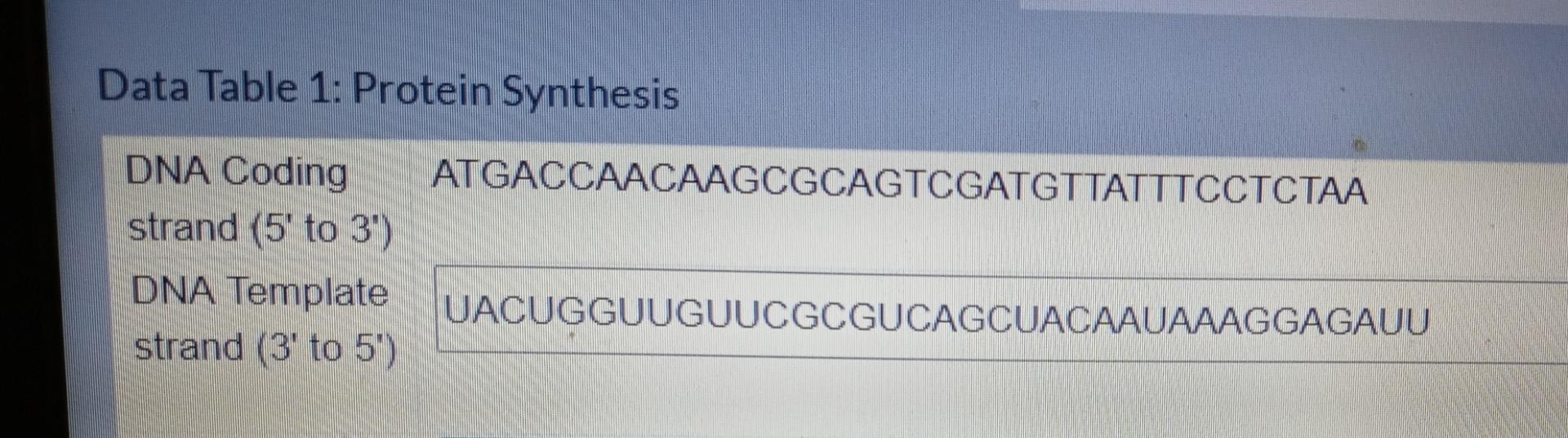 Solved Data Table 1: Protein Synthesis | Chegg.com