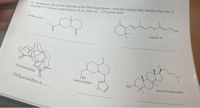 Solved Terpemes: Given the structure of the following | Chegg.com