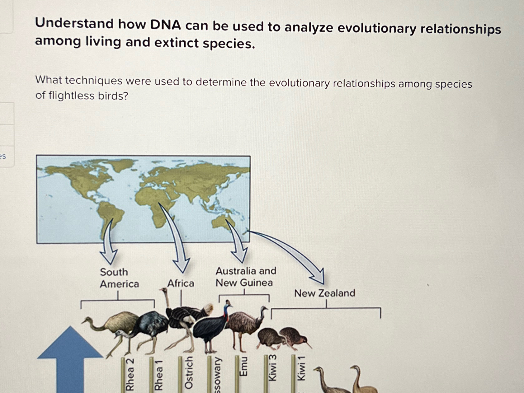 Solved Understand how DNA can be used to analyze | Chegg.com