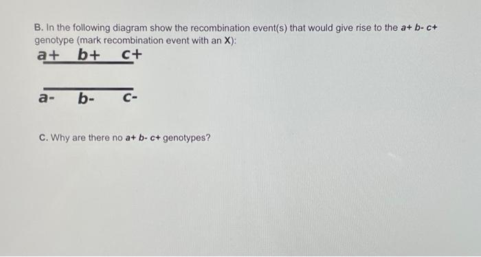 Solved B. In The Following Diagram Show The Recombination | Chegg.com