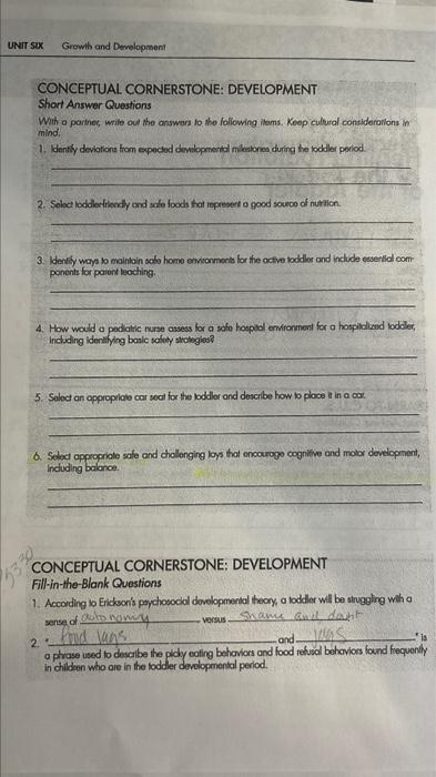 Solved CONCEPTUAL CORNERSTONE: DEVELOPMENT Short Answer | Chegg.com