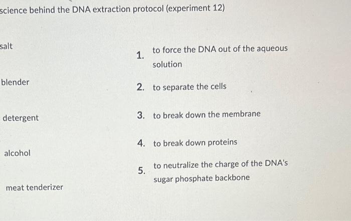 Solved science behind the DNA extraction protocol | Chegg.com