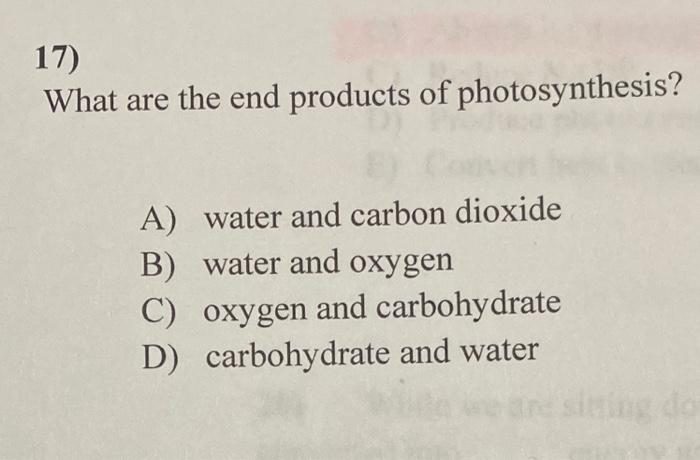 what are the end product of photosynthesis class 10