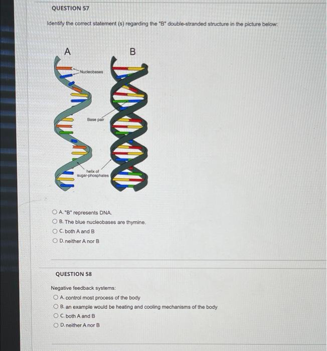 Solved QUESTION 57 Identify The Correct Statement (s) | Chegg.com