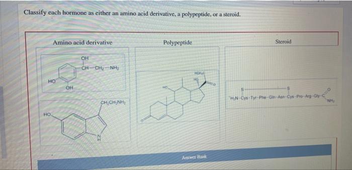 Solved Classify Each Hormone As Either An Amino Acid