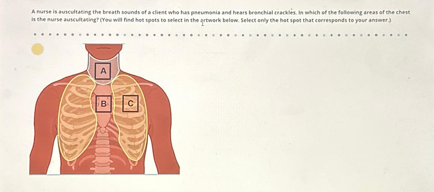 Solved A nurse is auscultating the breath sounds of a client | Chegg.com