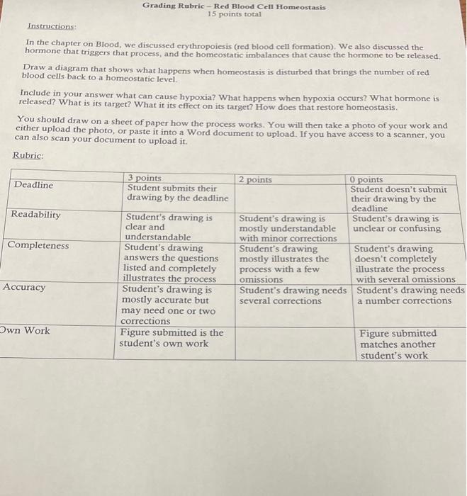 Solved Grading Rubric - Red Blood Cell Homeostasis 15 points | Chegg.com