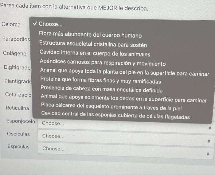 Parea cada item con la alternativa que MEJOR le describa. Celoma ✓ Choose... Fibra más abundante del cuerpo humano Parapodios