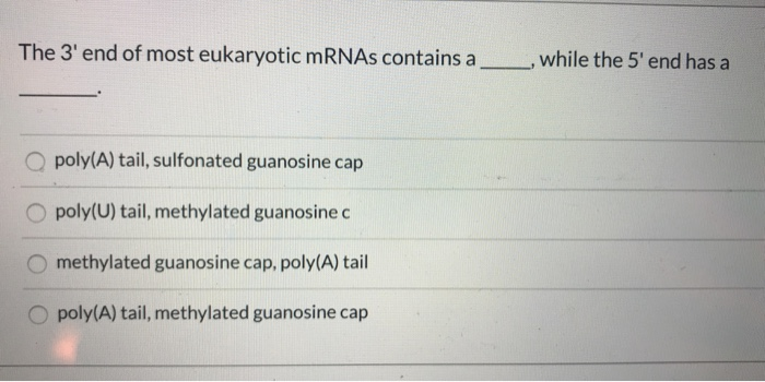 Solved The 3' end of most eukaryotic mRNAs contains a ___ , | Chegg.com