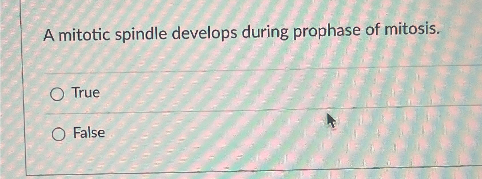 Solved A Mitotic Spindle Develops During Prophase Of Chegg Com