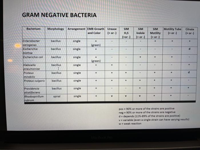 Solved The bacteria are cocci. To determine the Gram | Chegg.com