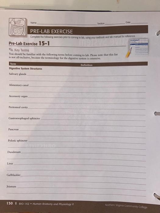 Solved Name Section Date PRE-LAB EXERCISE Complete the | Chegg.com